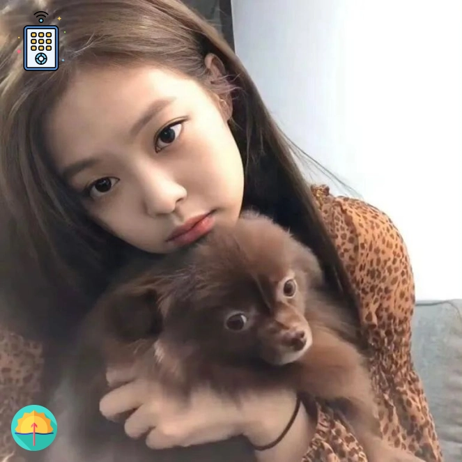 梅吹护法团（浙江省）